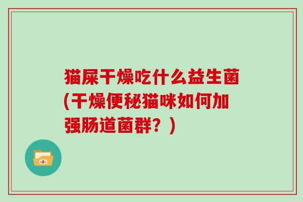猫屎干燥吃什么益生菌(干燥便秘猫咪如何加强肠道菌群？)