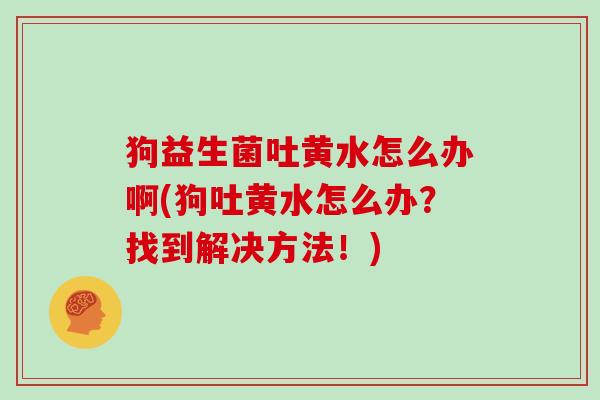 狗益生菌吐黄水怎么办啊(狗吐黄水怎么办？找到解决方法！)
