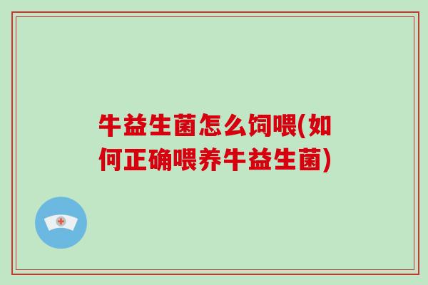 牛益生菌怎么饲喂(如何正确喂养牛益生菌)