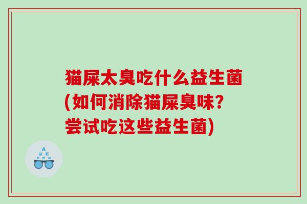 猫屎太臭吃什么益生菌(如何消除猫屎臭味？尝试吃这些益生菌)