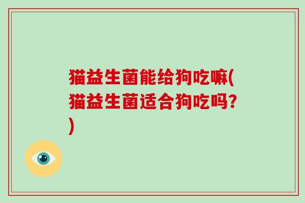 猫益生菌能给狗吃嘛(猫益生菌适合狗吃吗？)