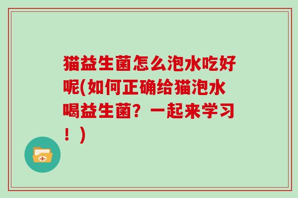 猫益生菌怎么泡水吃好呢(如何正确给猫泡水喝益生菌？一起来学习！)
