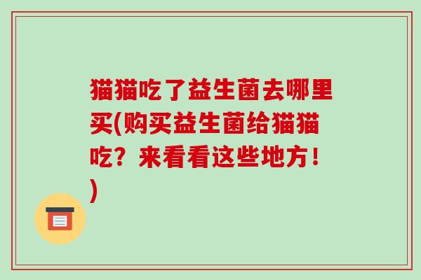 猫猫吃了益生菌去哪里买(购买益生菌给猫猫吃？来看看这些地方！)