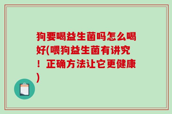 狗要喝益生菌吗怎么喝好(喂狗益生菌有讲究！正确方法让它更健康)
