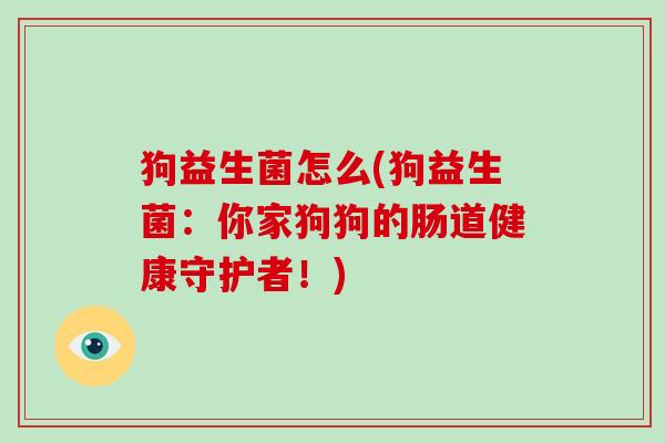 狗益生菌怎么(狗益生菌：你家狗狗的肠道健康守护者！)