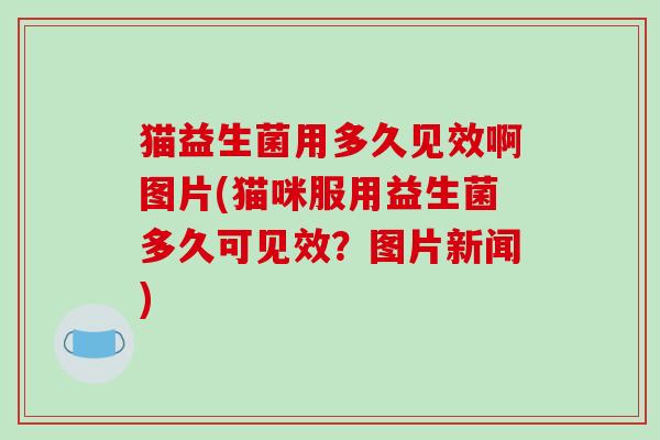 猫益生菌用多久见效啊图片(猫咪服用益生菌多久可见效？图片新闻)