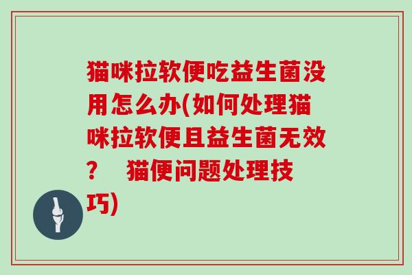 猫咪拉软便吃益生菌没用怎么办(如何处理猫咪拉软便且益生菌无效？  猫便问题处理技巧)
