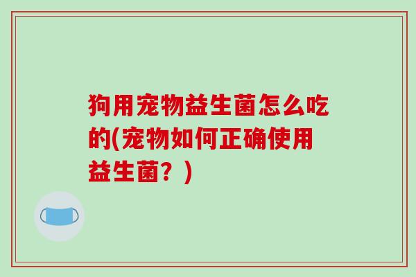 狗用宠物益生菌怎么吃的(宠物如何正确使用益生菌？)
