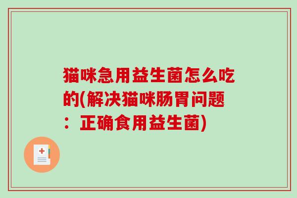 猫咪急用益生菌怎么吃的(解决猫咪肠胃问题：正确食用益生菌)