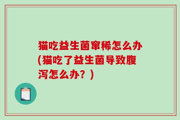 猫吃益生菌窜稀怎么办(猫吃了益生菌导致腹泻怎么办？)