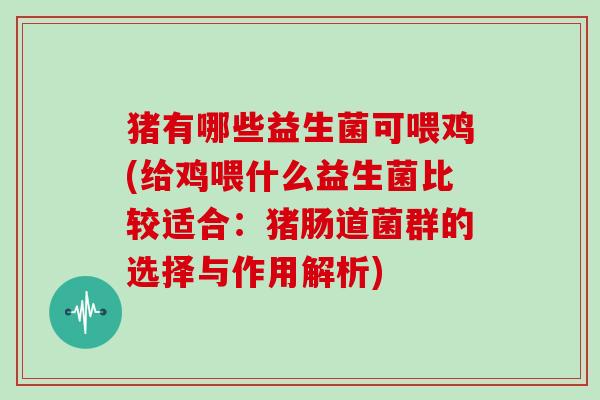猪有哪些益生菌可喂鸡(给鸡喂什么益生菌比较适合：猪肠道菌群的选择与作用解析)