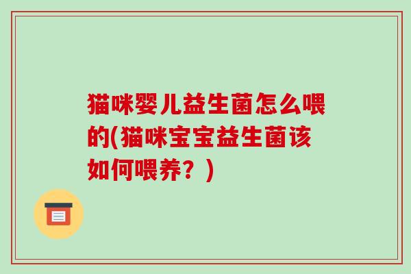 猫咪婴儿益生菌怎么喂的(猫咪宝宝益生菌该如何喂养？)