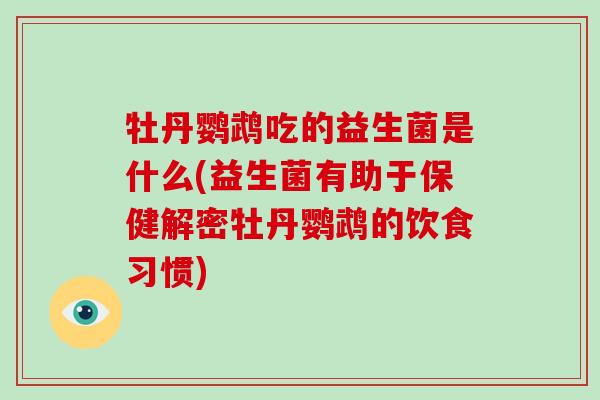 牡丹鹦鹉吃的益生菌是什么(益生菌有助于保健解密牡丹鹦鹉的饮食习惯)