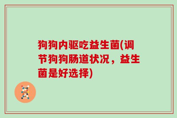 狗狗内驱吃益生菌(调节狗狗肠道状况，益生菌是好选择)