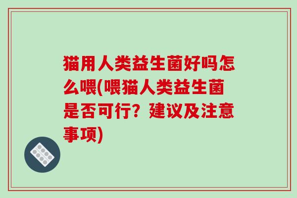 猫用人类益生菌好吗怎么喂(喂猫人类益生菌是否可行？建议及注意事项)