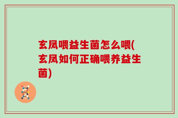 玄凤喂益生菌怎么喂(玄凤如何正确喂养益生菌) 玄凤喂益生菌怎么喂(玄凤如何正确喂养益生菌)