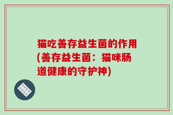 猫吃善存益生菌的作用(善存益生菌：猫咪肠道健康的守护神)
