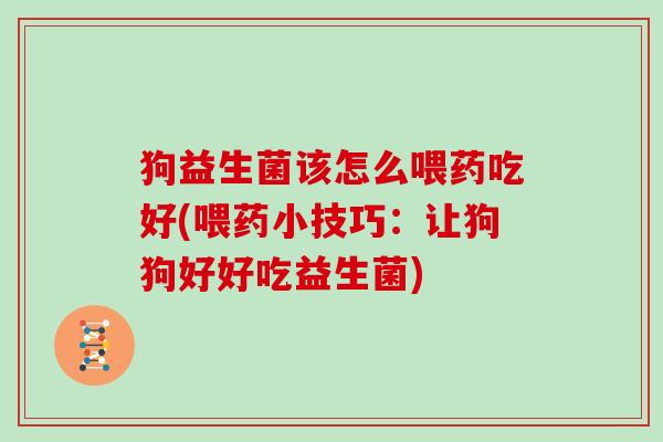 狗益生菌该怎么喂药吃好(喂药小技巧：让狗狗好好吃益生菌)