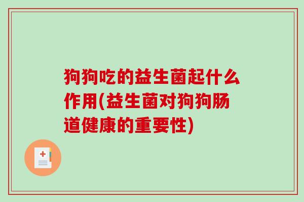 狗狗吃的益生菌起什么作用(益生菌对狗狗肠道健康的重要性)