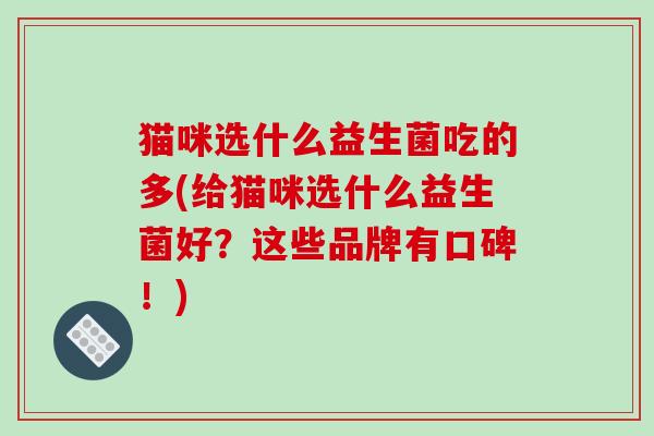 猫咪选什么益生菌吃的多(给猫咪选什么益生菌好？这些品牌有口碑！)