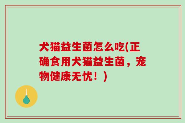 犬猫益生菌怎么吃(正确食用犬猫益生菌，宠物健康无忧！)