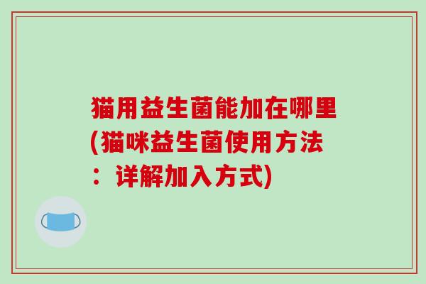 猫用益生菌能加在哪里(猫咪益生菌使用方法：详解加入方式)