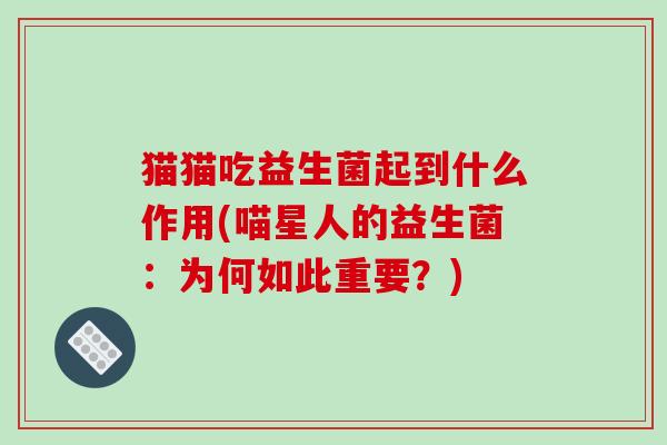 猫猫吃益生菌起到什么作用(喵星人的益生菌：为何如此重要？)