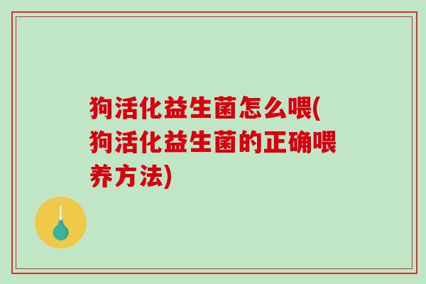 狗活化益生菌怎么喂(狗活化益生菌的正确喂养方法)