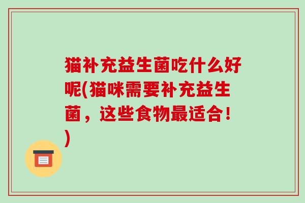 猫补充益生菌吃什么好呢(猫咪需要补充益生菌，这些食物适合！)