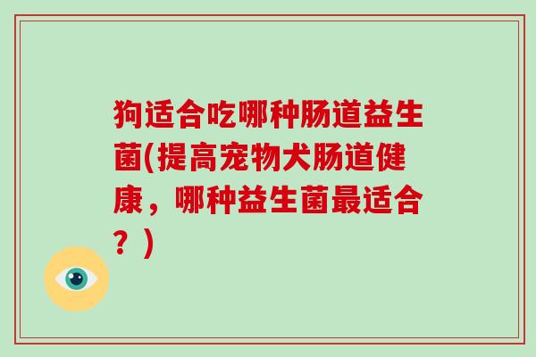 狗适合吃哪种肠道益生菌(提高宠物犬肠道健康，哪种益生菌最适合？)