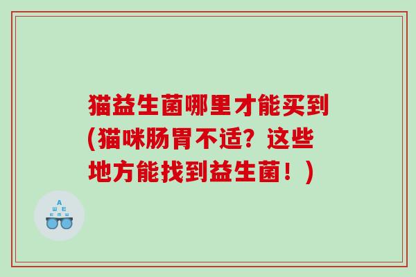 猫益生菌哪里才能买到(猫咪肠胃不适？这些地方能找到益生菌！)