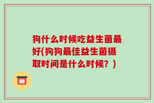 狗什么时候吃益生菌好(狗狗佳益生菌摄取时间是什么时候？)