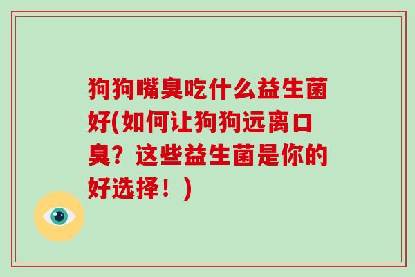 狗狗嘴臭吃什么益生菌好(如何让狗狗远离？这些益生菌是你的好选择！)
