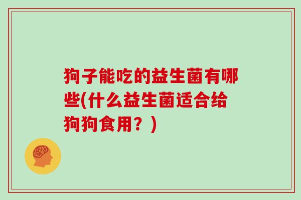 狗子能吃的益生菌有哪些(什么益生菌适合给狗狗食用？)