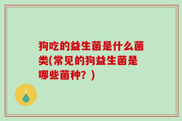 狗吃的益生菌是什么菌类(常见的狗益生菌是哪些菌种？)