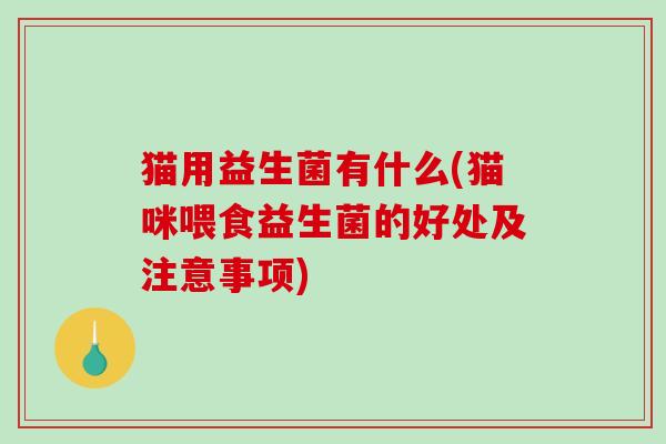 猫用益生菌有什么(猫咪喂食益生菌的好处及注意事项)