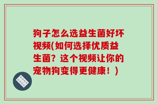 狗子怎么选益生菌好坏视频(如何选择优质益生菌？这个视频让你的宠物狗变得更健康！)