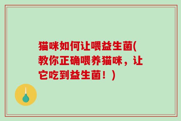 猫咪如何让喂益生菌(教你正确喂养猫咪，让它吃到益生菌！)