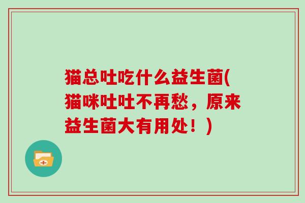 猫总吐吃什么益生菌(猫咪吐吐不再愁，原来益生菌大有用处！)