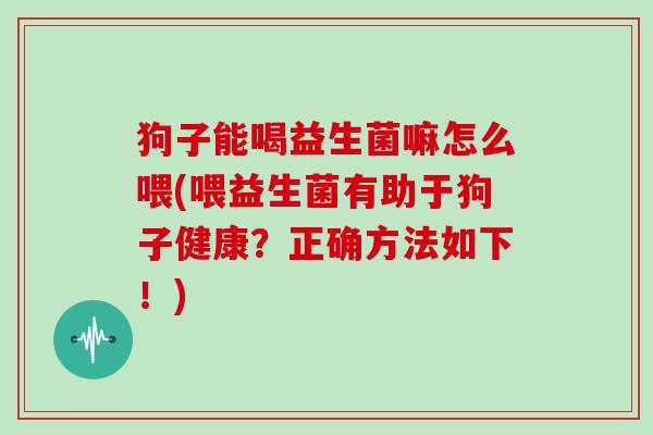 狗子能喝益生菌嘛怎么喂(喂益生菌有助于狗子健康？正确方法如下！)