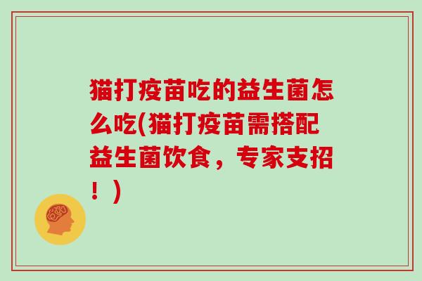 猫打疫苗吃的益生菌怎么吃(猫打疫苗需搭配益生菌饮食，专家支招！)