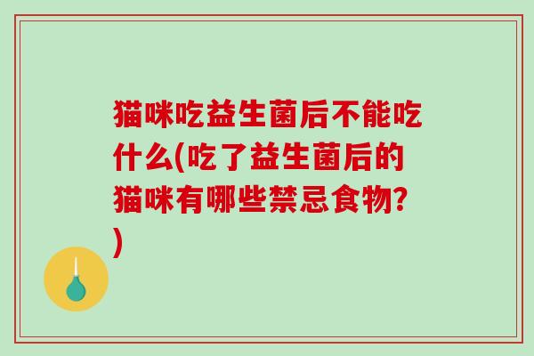 猫咪吃益生菌后不能吃什么(吃了益生菌后的猫咪有哪些禁忌食物？)