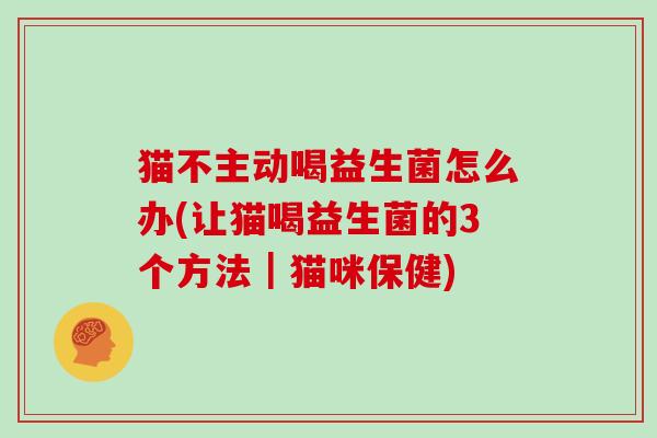 猫不主动喝益生菌怎么办(让猫喝益生菌的3个方法｜猫咪保健)