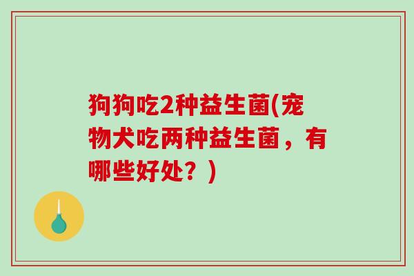 狗狗吃2种益生菌(宠物犬吃两种益生菌，有哪些好处？)