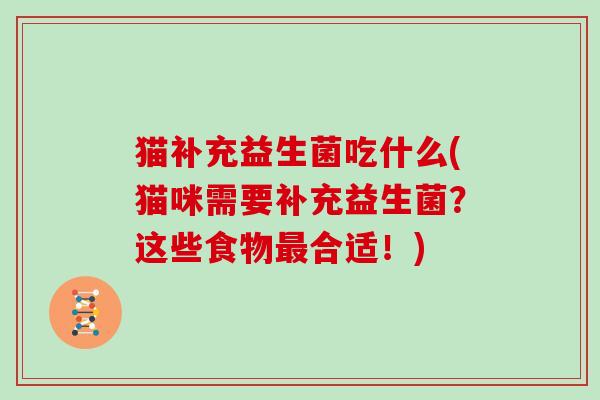 猫补充益生菌吃什么(猫咪需要补充益生菌?这些食物合适!) 猫补充益生菌吃什么(猫咪需要补充益生菌?这些食物合适!)