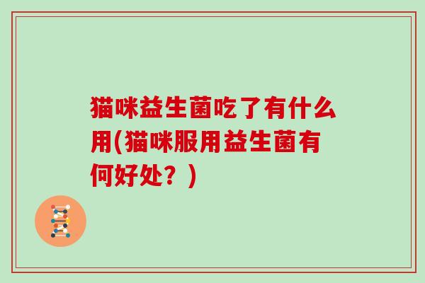 猫咪益生菌吃了有什么用(猫咪服用益生菌有何好处？)