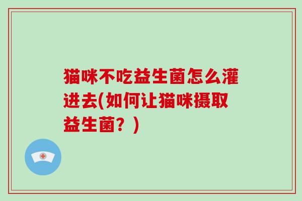 猫咪不吃益生菌怎么灌进去(如何让猫咪摄取益生菌？)