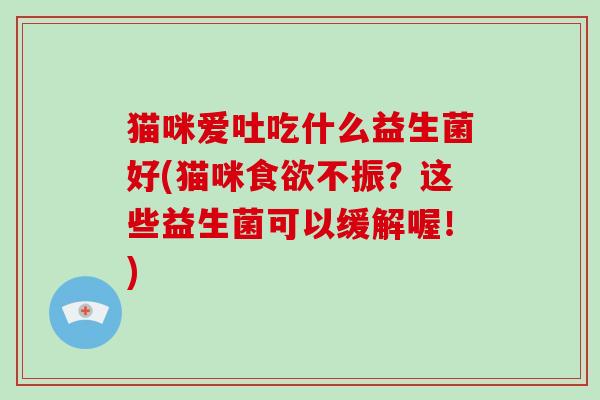 猫咪爱吐吃什么益生菌好(猫咪食欲不振？这些益生菌可以缓解喔！)