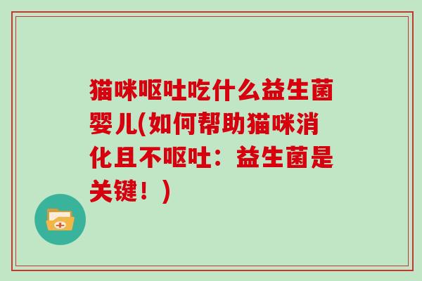 猫咪吃什么益生菌婴儿(如何帮助猫咪消化且不：益生菌是关键！)