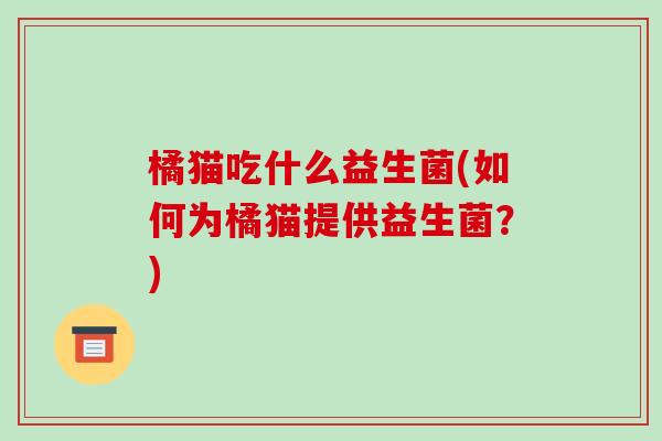 橘猫吃什么益生菌(如何为橘猫提供益生菌？)